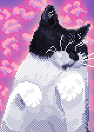 Luna Luna